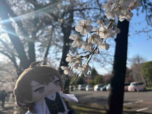 ﾁｬｲｶさんｯｯｯ！！！！