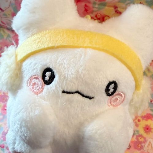 今日も明日も毎日かわいい