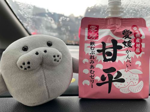愛媛のなんかうまいじゅーすﾏﾅ