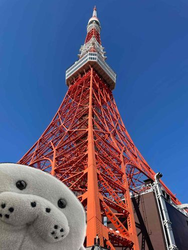 自撮り撮り忘れたから合成ﾏﾅ