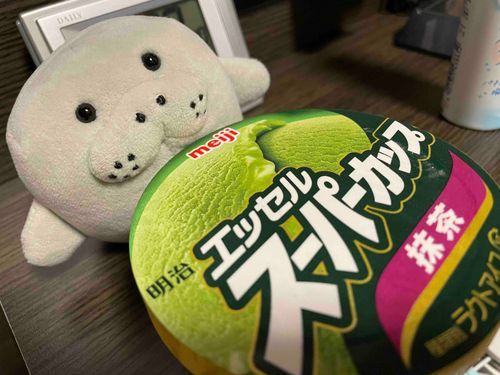 初めてのスーパーカップﾏﾅ