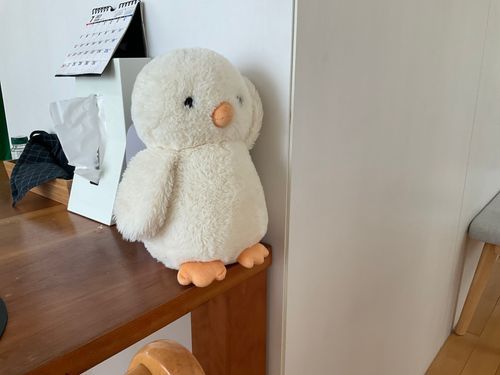 バイバーイというぴーちゃん