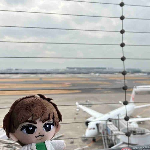 🍀ないす ふらいと！だね✈️