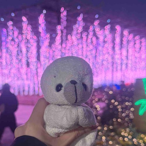 今年初のイルミネーション✨