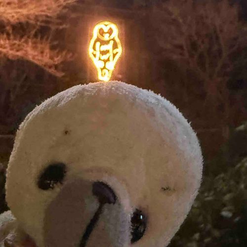 ふくろうさんとお写真！