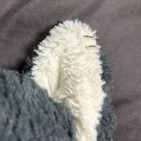 にゃーちゃん