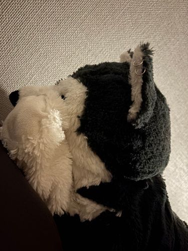 おやすみにゃーちゃん