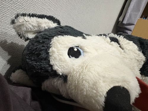 お目目があったねー
ノズルめっちゃ長くみえる
