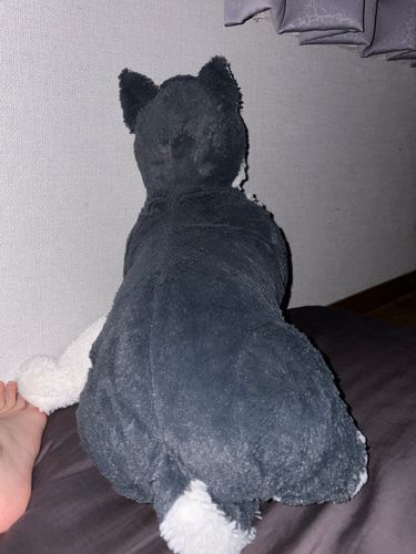 おはよ