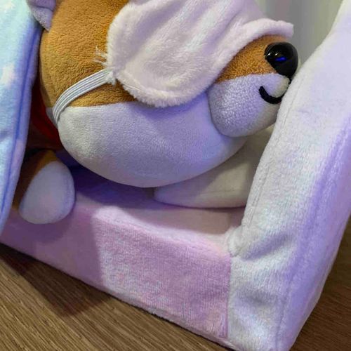 豆なぁベッド買ってもらったんよぉ〜！アイマスクないと寝れんって言ったらすぐ買ってくれた！布団キツキツであんまりあったかくない。飼い主さんに言ったら怒られるかなぁって思って、、、
まだ言ってない！みんなーー飼い主さんに言ったほうがいいか言わんでもいいか教えてー！豆なぁみんなの意見を参考にする！
　でも、買ってくれたのはめっちゃあんがと！