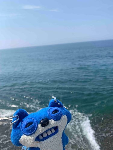 ジュライ‼️🏖☀️