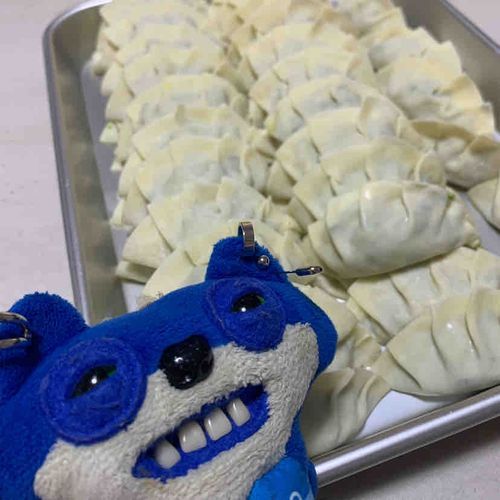 餃子つつんだよ🥟