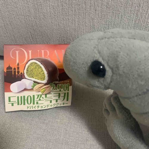 買っちゃったね