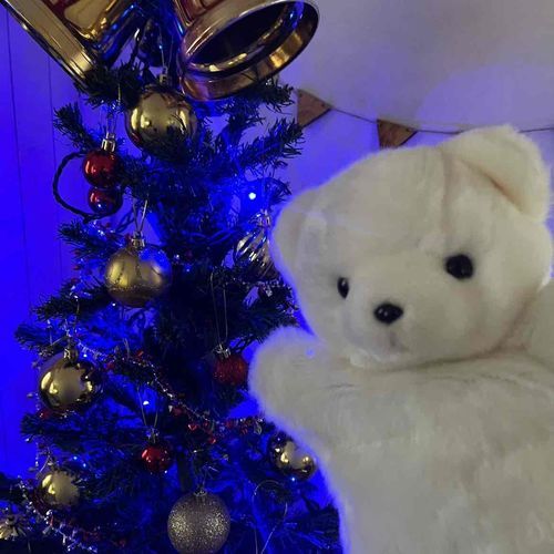 クリスマスのもみ木をかざってさ、車のワイパーを冬用にしたら、もうそれは冬なのじゃ