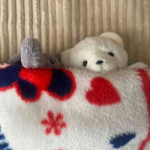 外がたいそうな雪で布団からでられない