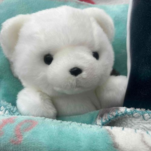 まめこは偏頭痛がいちじるしく、ていきあつがきらい