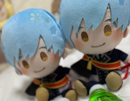 …おや？そうなのです
じつはふたごなのです