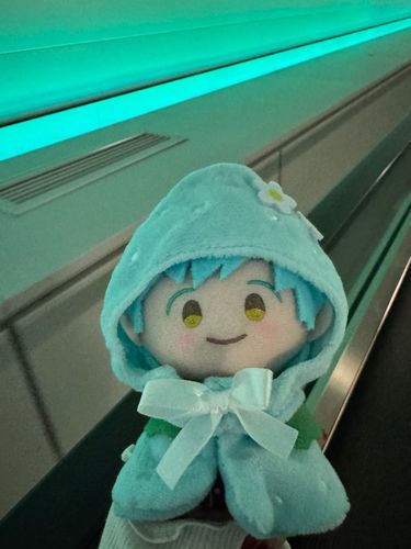 こちらはちいさきわたしですな