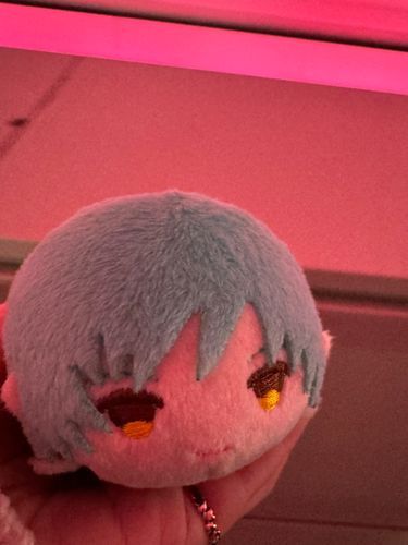 もちな私ですな