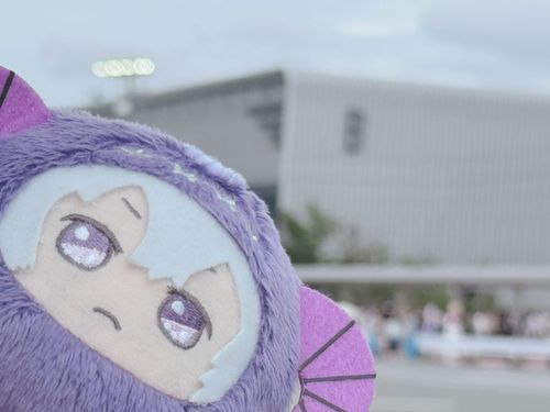 いってきました
