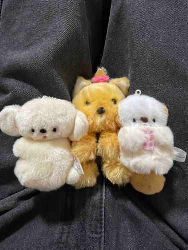 飼い主の代わりにお迎えしてもらってた子たちにやっと会えたよ
