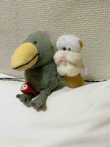 ちっこらさんとはしさん仲良しです