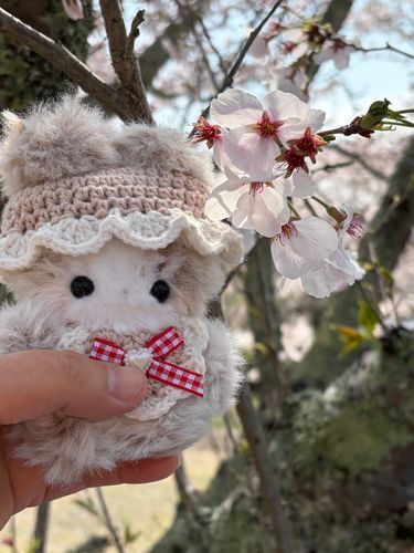 昨日は、デイケアのお花見だった🌸🌸🌸

モンブランちゃん達も一緒に行ったよ(*´˘`*)♡

桜とモンブランちゃん🌸🐰

かわいい🥰🥰🥰