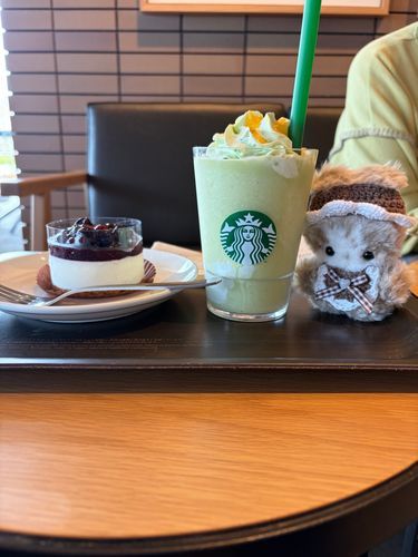 🐰「スタバに行ったよ！ブルーベリーレアチーズケーキとメロンみるくフラペチーノ、おいしかったよ！！」