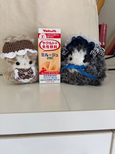 ミルージュ、久しぶりに飲んだよ！

美味しかったー！！！