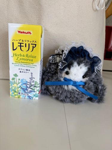 レモリア🍋🍋🍋