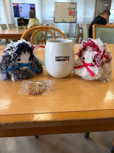 カシスちゃん、スフレちゃんと
𓏸𓈒𓂃☕️ 𝐓𝑬𝑨　𝐓𝐈𝐌𝑬 🫖𓂃 𓈒𓏸