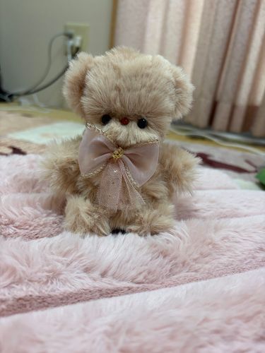 可愛いクマちゃんお迎えした☺️

ピンクのリボンが可愛いから、名前は、サクララテちゃんにした🌸🎀

可愛過ぎる💕💕🥹💕💕