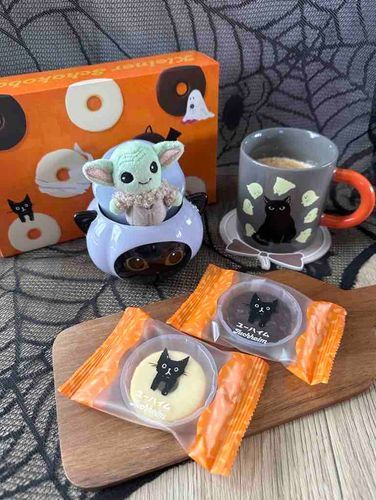 ハロウィン終わっちゃったね🎃
次はクリスマス～🎅🏻🎄.*
ぼくもプレゼントもらえるかな？🎁