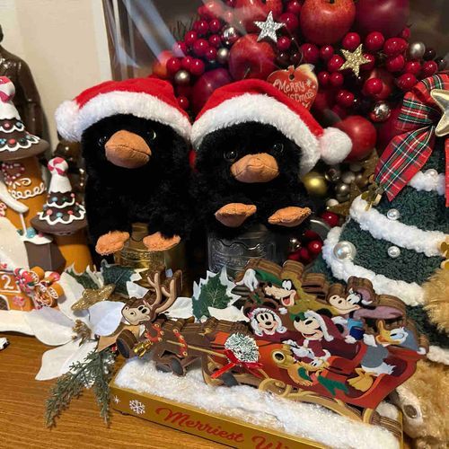 新しいお友達も
クリスマス仕様になりました🎄
