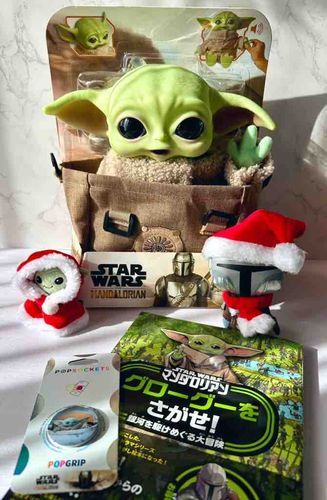 新しいおともだちがやってきたよ💚❤️