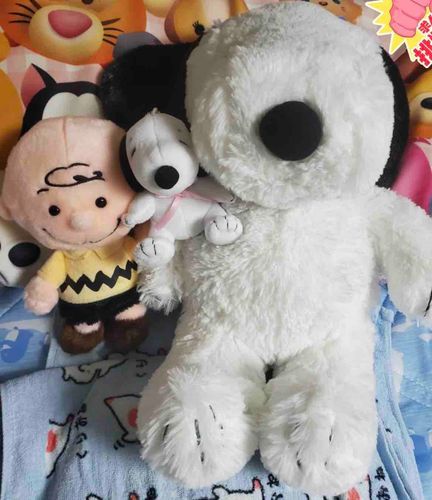 初対面！ピヌも息子達も可愛いしピヌがもうにいに達に懐いてるのもびっくりしました😂改めてこれからよろしくお願いします！！