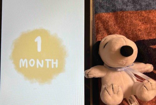 投稿が遅くなりましたが、うちのピタが9月20日に生後1ヶ月を迎えました！！ついこの前までお腹にいたはずなのに気づいたらこれを投稿してる時には2ヶ月経ってました！もう少しゆっくり進んでいいんだよ？笑一生ピタを守り抜きます！1ヶ月おめでとう❣️