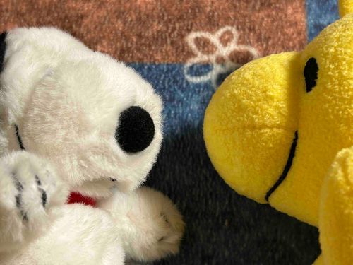 そして双子達で撮った写真📷スーたん目ちっちゃすぎてどこにあるか分からないレベル笑これから仲良く成長してほしいです🍀