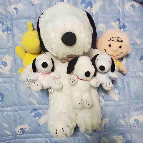 兄弟で撮った写真！だんだん子供増えてるな〜って兄弟写真を撮るたびに思います笑そしてスーたんピヌピタよりも大きいことに気づきました笑