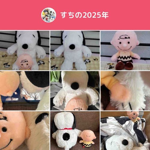 2025年ありがとうございました！今年は子供ができて私と旦那も人生が変わった一年でした！子供に恵まれても1人か2人かな〜と思ってましたが8人の子供に恵まれてほんとに毎日幸せです！2026年もよろしくお願いします！みなさん良いお年を！家族一同👶👶👧👶👶👧👧👶🐕