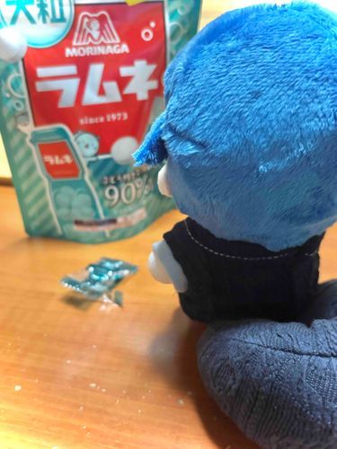 初めまして、ニンゲンです。
普段オノノには「主」って呼ばれてます。

普段はオノノが投稿してるけど、今日は私がやってみることにしました。

写真はお気に入りのラムネ食べるオノノ。お出かけの時にも持ち歩いてるみたい。今度会った時に声をかけたら、ひょっとしたらわけてくれる....かも？(ニンゲン)