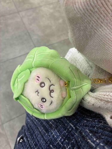 いっしょにおでかけはるきゃべつ