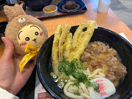 ごぼてんうどん