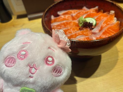 おさかな