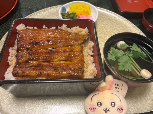 うなぎ食べて元気出すぞー
ほかっ