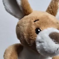 ケリー