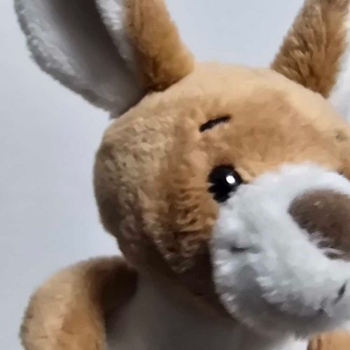 こんにちは　ぼくけりー