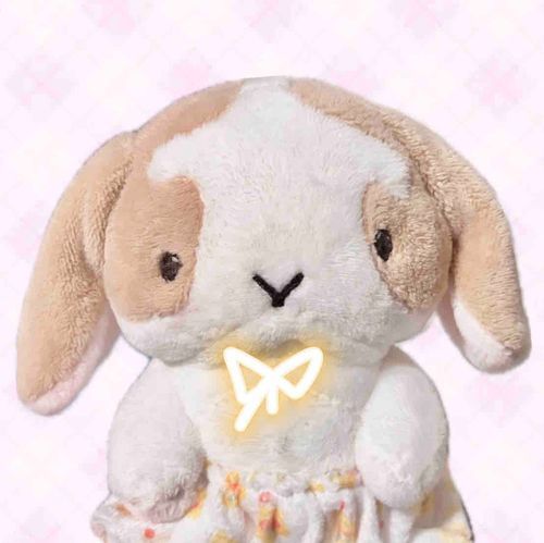 のぺの名前はのぺた。
ロップイヤーのうさぎのおじいちゃんあかちゃん。
飼い主のお姉たゃんといっしょに生きてるよ。

♡ ••┈┈┈•• ♡

minneにてオーダーメイドで作っていただいたうちのうさぎのぬいちゃんです。
よろしくおねがいいたします*͈ᴗ͈ˬᴗ͈ෆ   