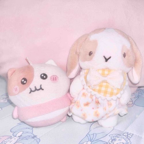 飼い主が のぺ に新しいスタイ買ってくれたよ。 でも思ったより大きかったみたい( ܸ ⩌⩊⩌ ܸ )
記念に飼い主の大好きなもちにゃみとお写真 !!