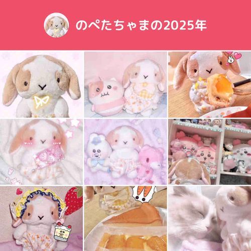 ふわもこSNSに出会った年だったょ♪
いろんなかわいい子たちにであえて嬉しいだし、のぺちゃまのかわいいとこいっぱい見てもらえて嬉しだよ

来年もよろしくね( ܸ ⩌⩊⩌ ܸ )